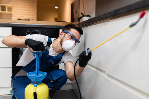 Best Local Pest Control Services  in Richland, WA
