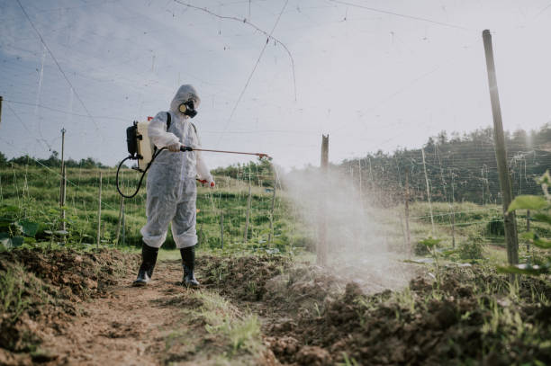 Best Termite Control Services  in Richland, WA