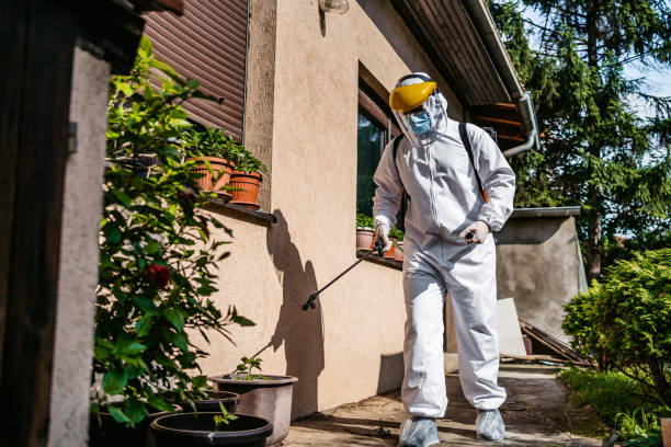 Best Bed Bug Extermination  in Richland, WA