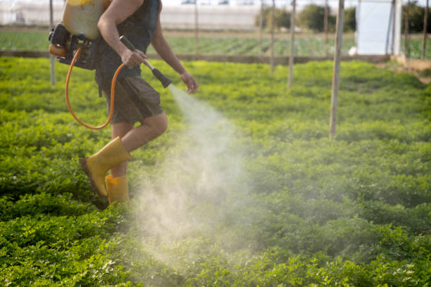 Best Insect Control  in Richland, WA
