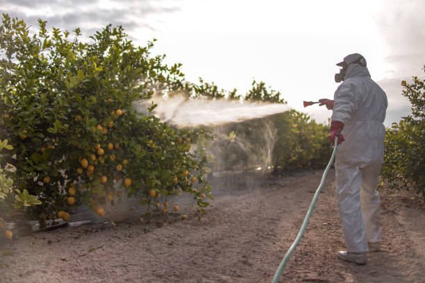 Best Insect Control  in Richland, WA