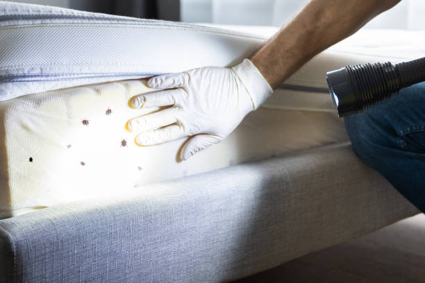 Best Exterminator Services  in Richland, WA