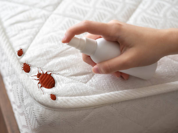 Best Affordable Pest Control Services  in Richland, WA