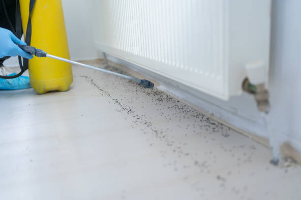 Pest Control Cost in Richland, WA