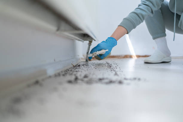 Best Emergency Pest Control  in Richland, WA